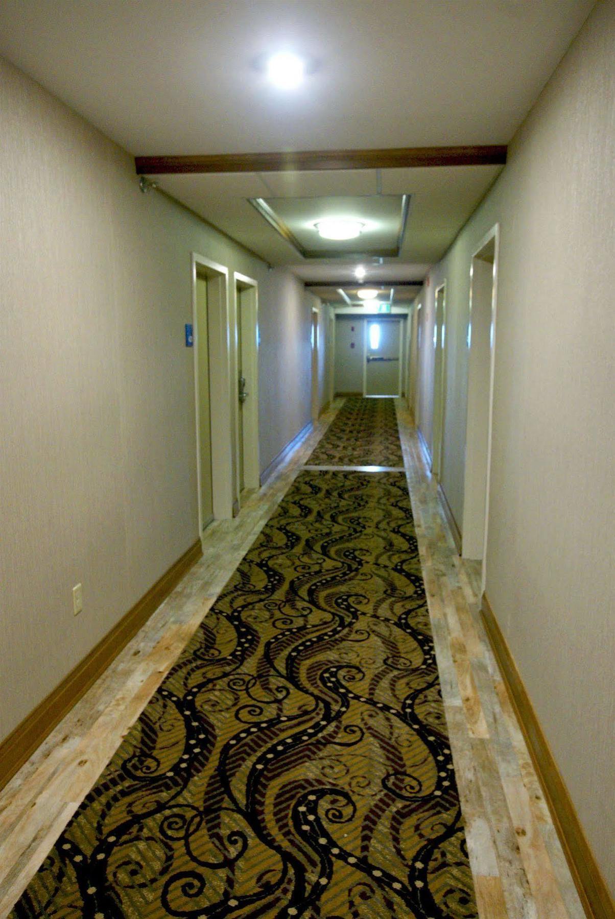 Holiday Inn Express Hotel & Suites Uptown Fredericton By Ihg Exterior foto